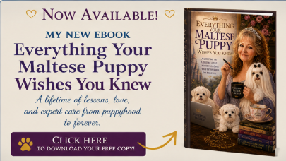 The Storybook Maltese - Everything Your Puppy Wishes You Knew.pdf