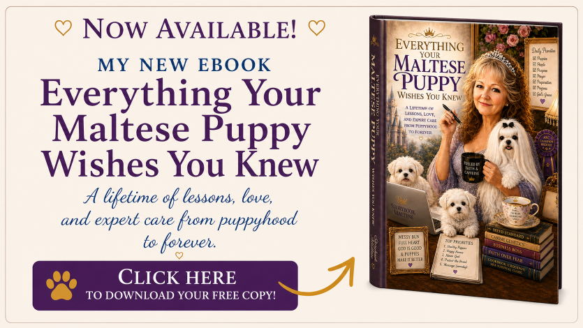 The Storybook Maltese - Everything Your Puppy Wishes You Knew.pdf