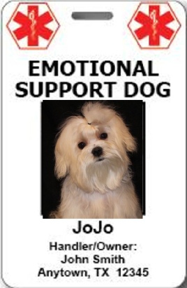 emotional assistance dog
