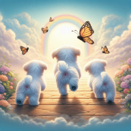 Three Maltese puppies joyfully crossing the Rainbow Bridge surrounded by butterflies and flowers, symbolizing peace and reunion after pet loss