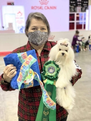 Joy with her handler and ribbons at a dog show