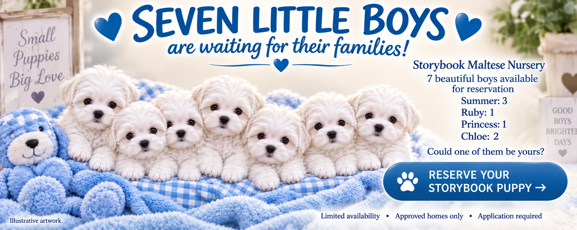 Seven little boys available: Summer 3, Ruby 1, Princess 1, Chloe 2. Illustrative puppy artwork.