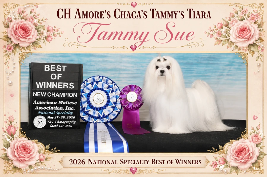 Tammy Sue in the original Storybook portrait presentation