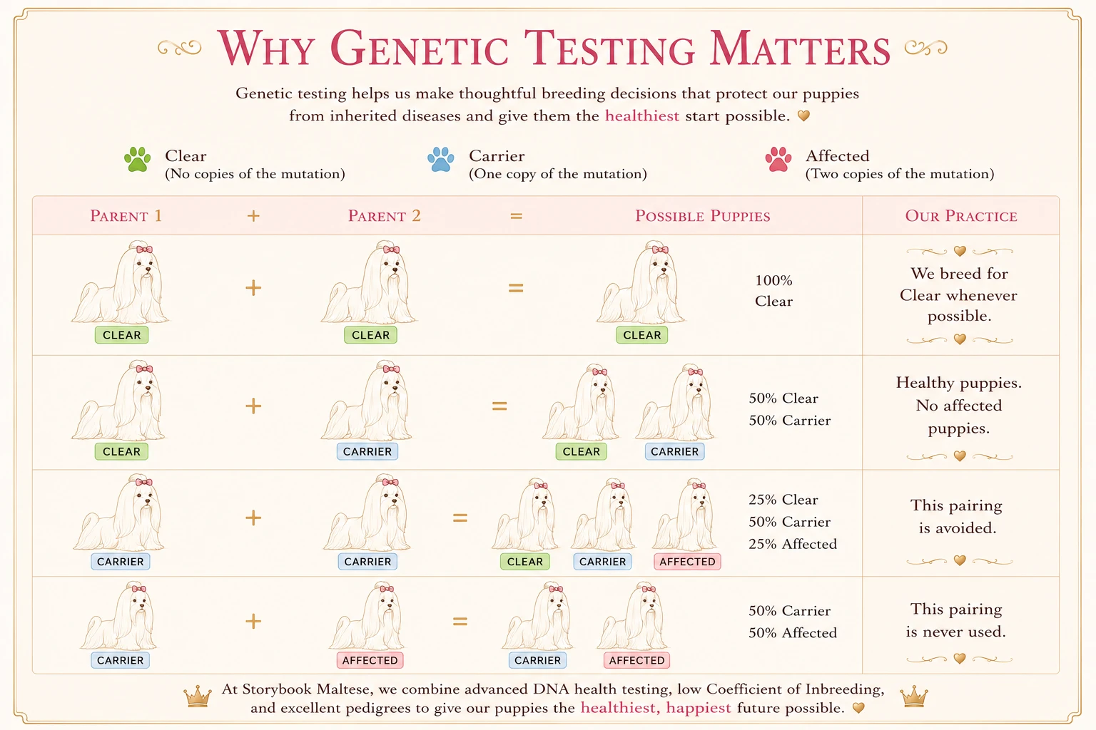 Original Why Genetic Testing Matters infographic